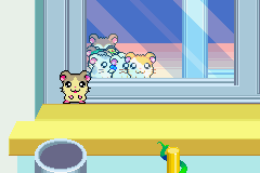 screenshots/Game Boy Advance/Hamtaro - Rainbow Rescue/Hamtaro - Rainbow Rescue (Eng) 110.png